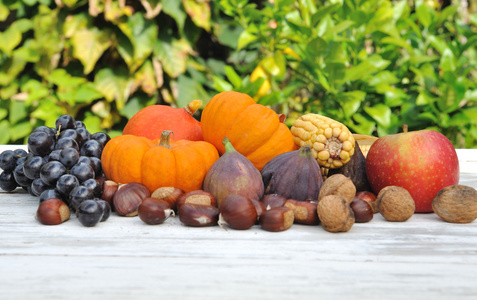 秋季水果和南瓜图片