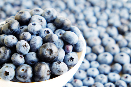 蓝莓的背景下的新鲜蓝莓碗