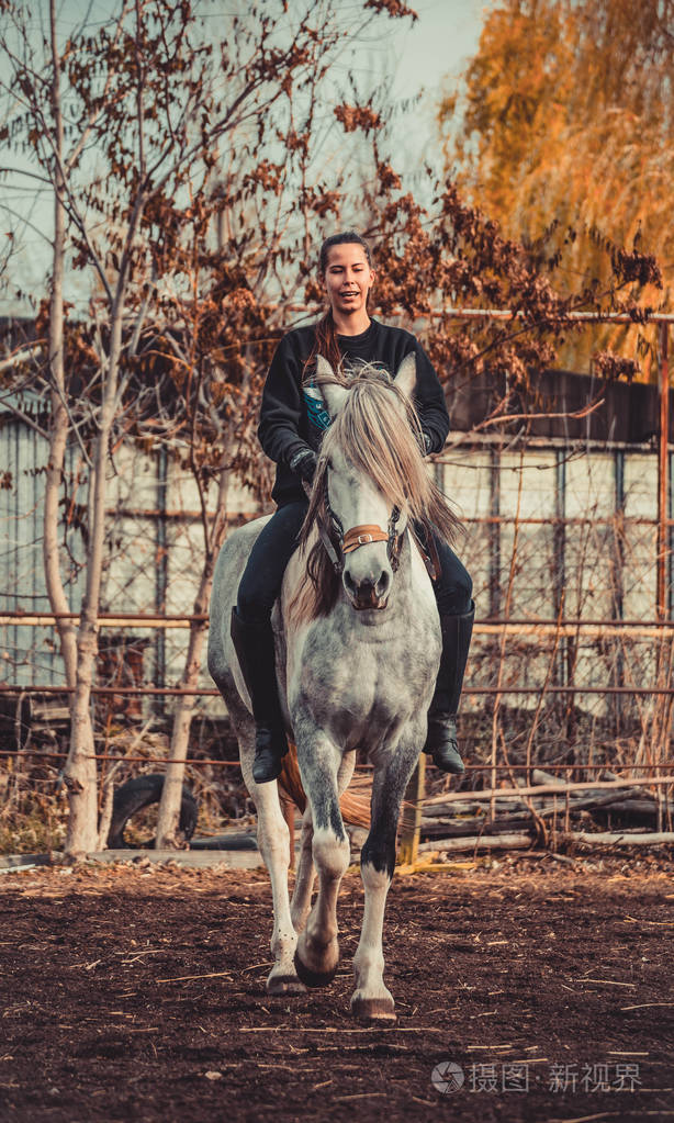 年轻漂亮的黑发女孩骑着马无鞍与哈卡莫尔