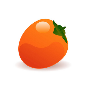 成熟柿子矢量插画照片