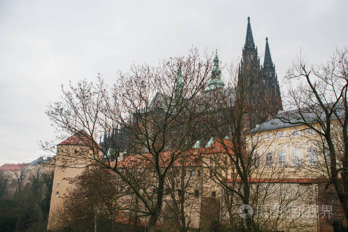 布拉格圣圣维特大教堂冬季