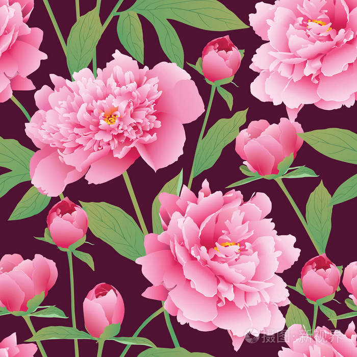优雅无缝颜色的牡丹花图案 花园的牡丹 Eps 10 Vect插画 正版商用图片0n3cy0 摄图新视界