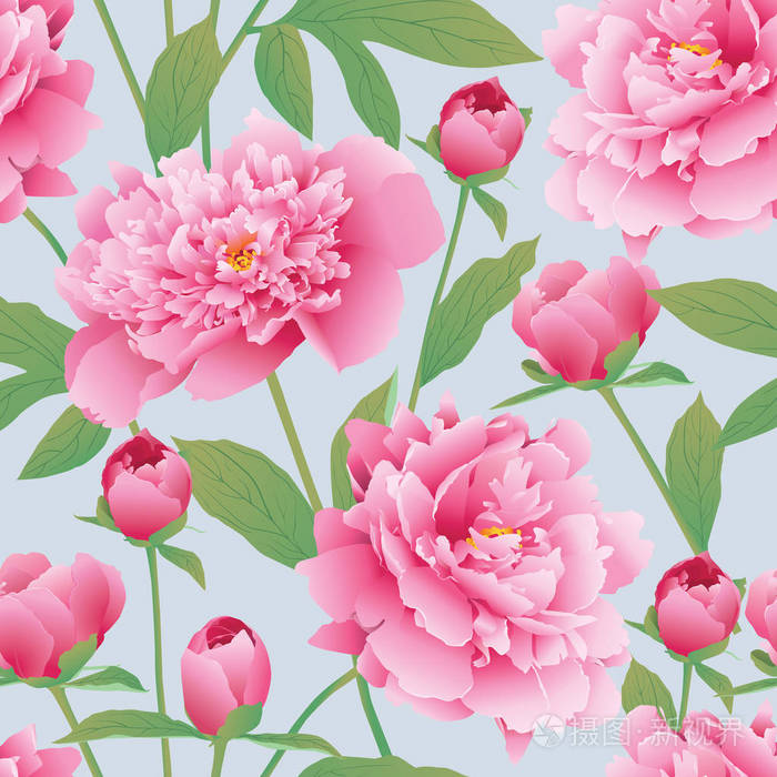 优雅无缝颜色的牡丹花图案 花园的牡丹 Eps 10 Vect插画 正版商用图片0n3d6k 摄图新视界
