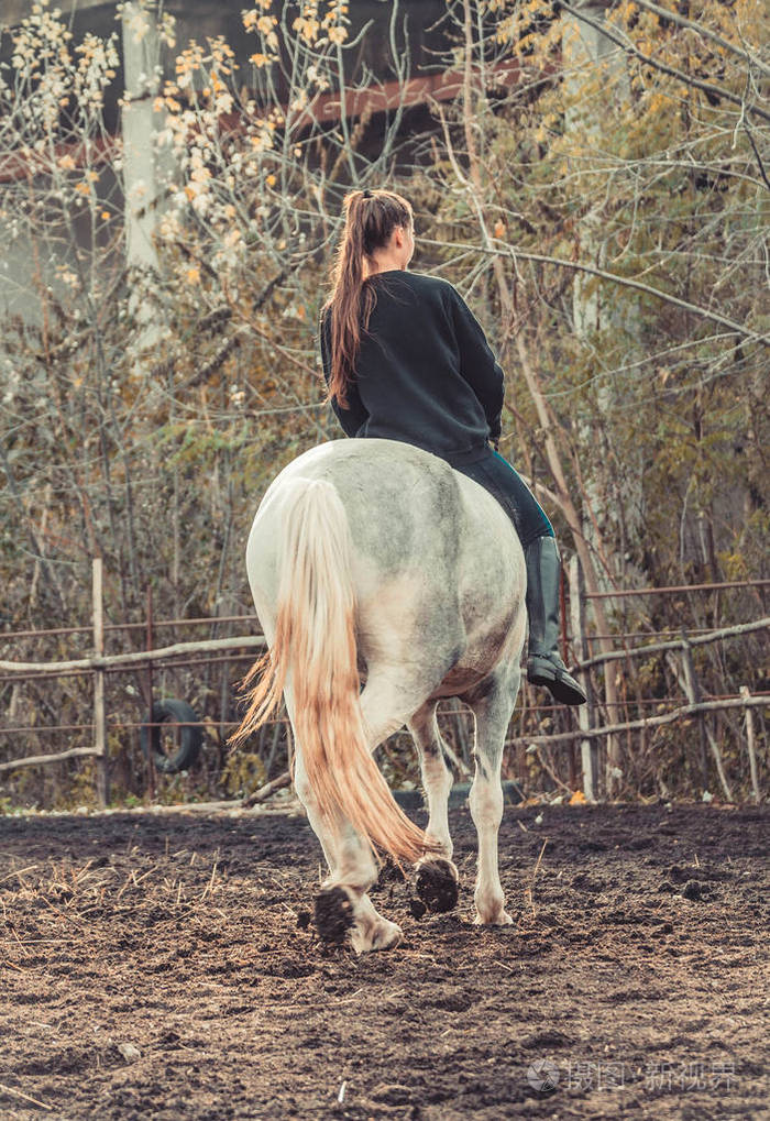 年轻漂亮的黑发女孩骑着马无鞍与哈卡莫尔