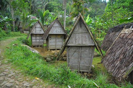西爪哇-印度尼西亚传统米糠照片