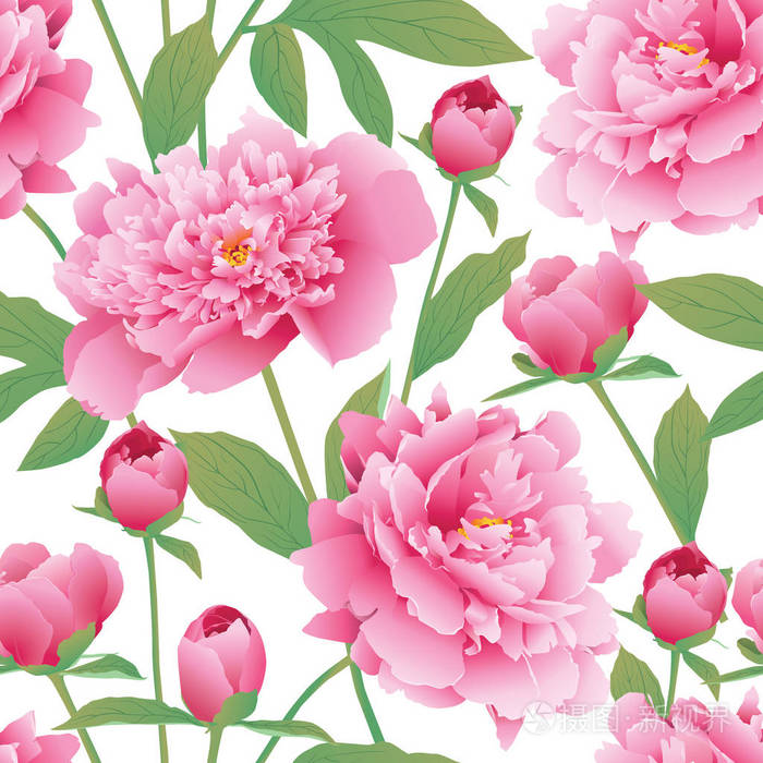 优雅无缝颜色的牡丹花图案 花园的牡丹 Eps 10 Vect插画 正版商用图片0n3ds2 摄图新视界