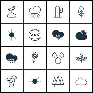 16 世界图标集。包括气候寒冷 雨 仙人掌和其他符号。漂亮的设计元素