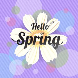 花春与白花和多彩的紫罗兰色背景