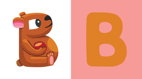 字母 b 熊, 可爱的插图.动物字母表照片