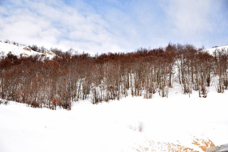 0013的高山上充满了雪。