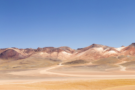 在玻利维亚干旱土地