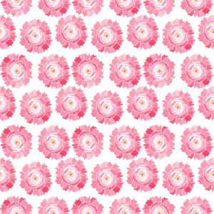 美丽明亮投标草药花卉组成的粉色牡丹图案水彩手图