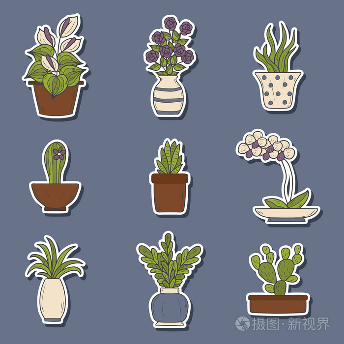 室内盆栽植物卡通贴纸