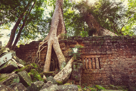 古高棉文明遗址图片