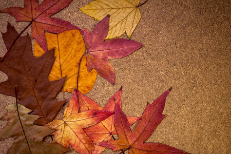 多彩的秋天树叶木制背景上