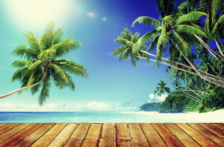 热带天堂海滩概念图片