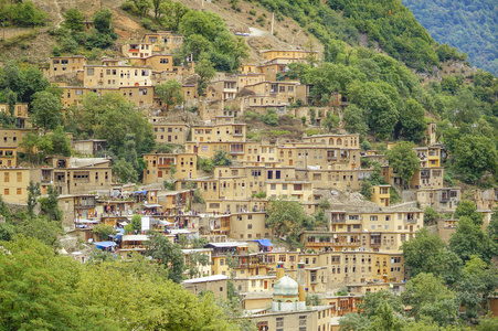 山定子是一种原产于西欧, 中欧和南欧, 西北非洲, 伊朗北部和西南亚的