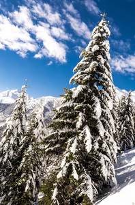 冬天山全景与滑雪倾斜, Bareges, Pyrennees