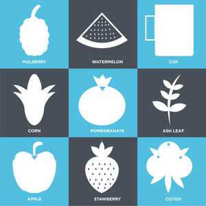 集9个简单的可编辑图标, 如 coton, 草莓, 苹果, 灰叶, 石榴, 玉米, 杯, 西瓜, 桑, 可以用于移动, 网页用户
