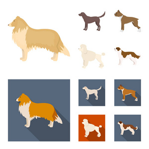 牧羊犬, 拉布拉多, 拳击手, 贵宾犬。狗品种集合图标在卡通, 平面式矢量符号股票插画网站