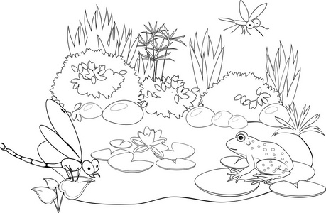 着色与居民的池塘照片