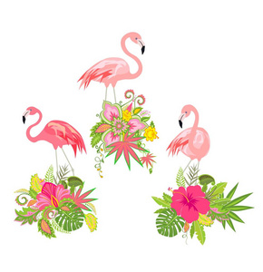 美丽的花卉设计充满异国情调的鲜花和粉红色的火烈鸟