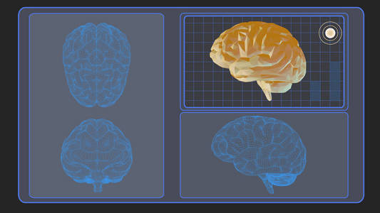 3d. 灰色 Bg 的脑分析界面屏幕