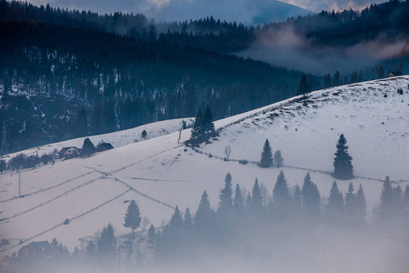 美丽的冬天景观在山上。日出。Carpatian 谷与雾和雪。喀尔巴阡山冬季。清晨光躺在山山顶上