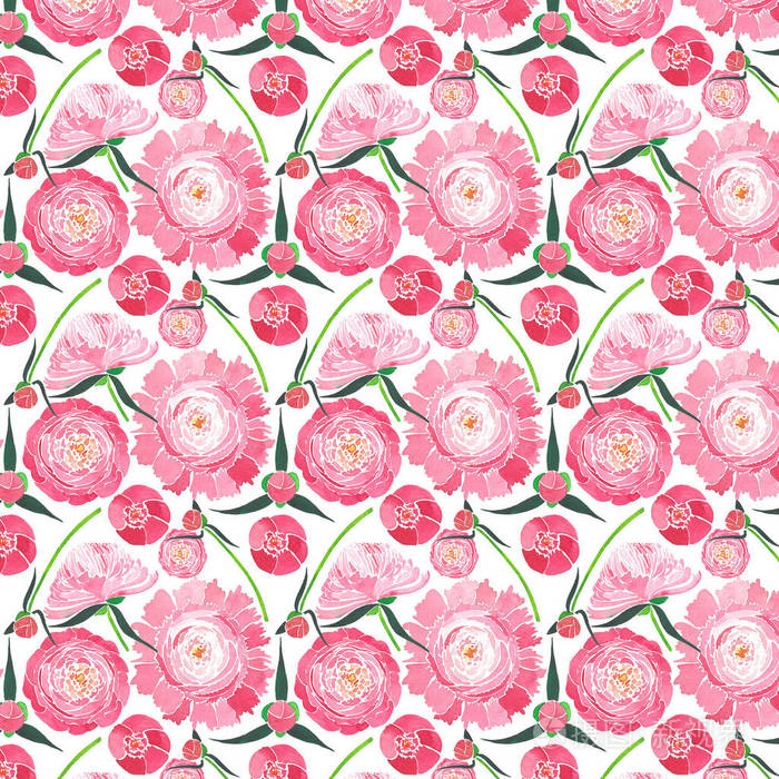 美妙可爱的花卉投标草药组成的粉色牡丹绿叶与红芽模式水彩手图