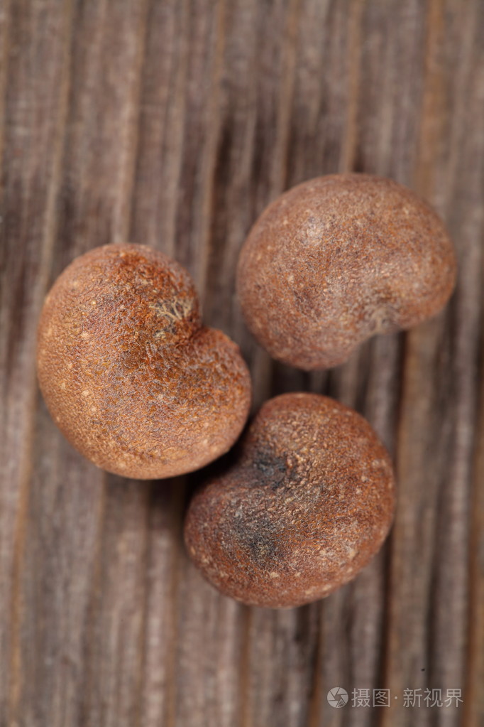 猴面包树种子老木背景