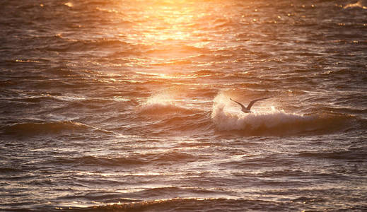 自然。海和日落。海浪