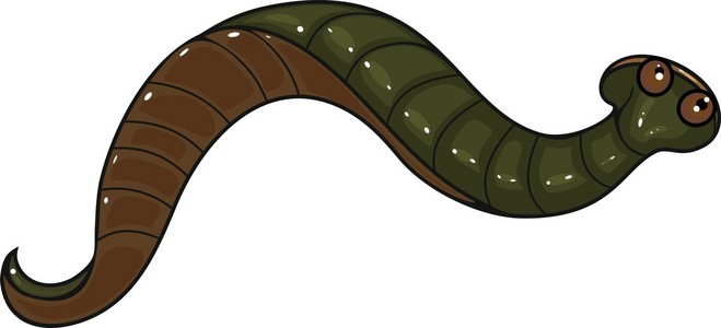 蛭插画 蛭手绘 蛭卡通图 摄图新视界