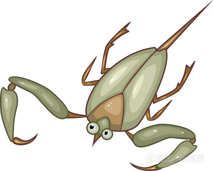 白色背景上的水蝎子