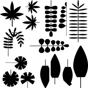 集异国风情的热带树叶剪影孤立矢量插画平面风格