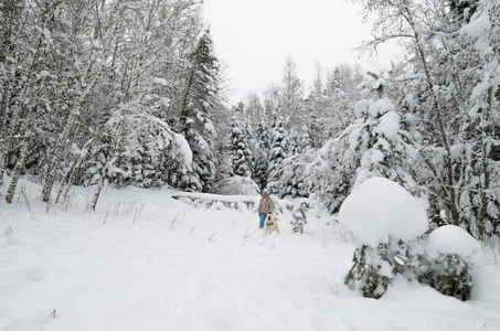在冬天的树林中散步的狗的女人