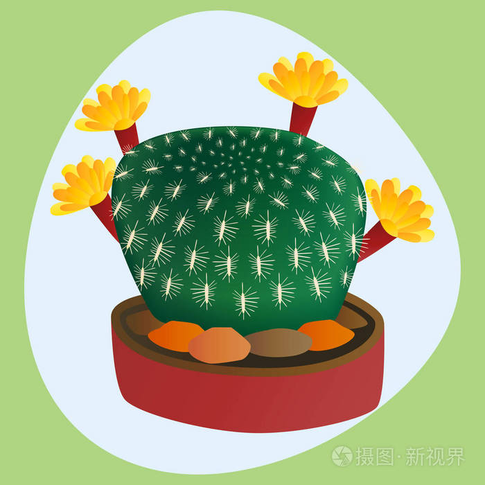 绿卡通绘制图形的墨西哥肉质和热带植物园林艺术仙人掌花矢量图