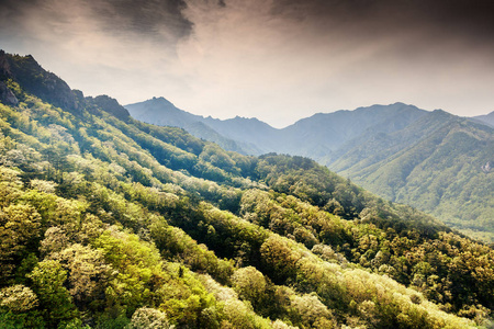 日落的时候。在国家公园 o 美丽的山景观