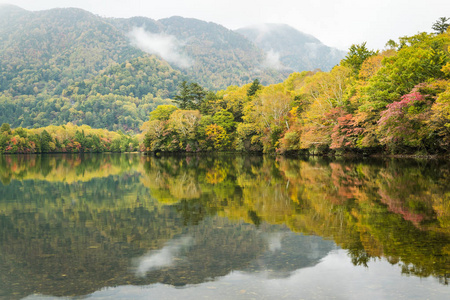 栃木 Yumoko 湖秋季景观分析