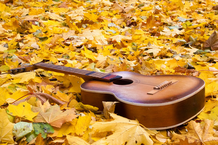 吉他在秋天的落叶