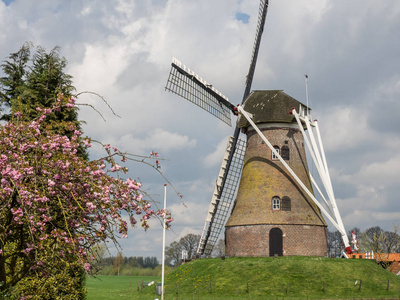 春天时间在荷兰