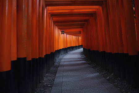 日本京都伏见 Inari 神社红托里门口