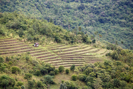 缅甸-曼德勒地区的农业和耕地亚洲缅甸敏建破解农业缅甸比卢岛的农业