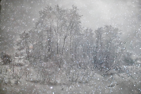 白雪皑皑的冬季风景