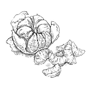 普通对象图片-普通对象素材-普通对象插画-摄图新视界