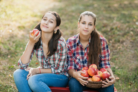 果园花园里有红苹果的女孩。收获的概念。青少年在秋季收割时吃水果