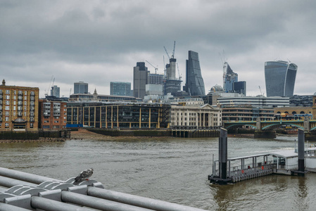 伦敦金融区地平线平方英里, 英国, 英国选择性聚焦前景鸽