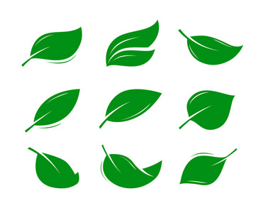 绿叶标志或标签。自然产品, 自然, 生态图标。矢量插图