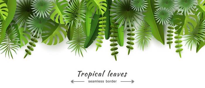 热带叶子无缝边界孤立的白色背景夏季和季节性设计旅游广告和旅游容量图像剪切纸矢量插图