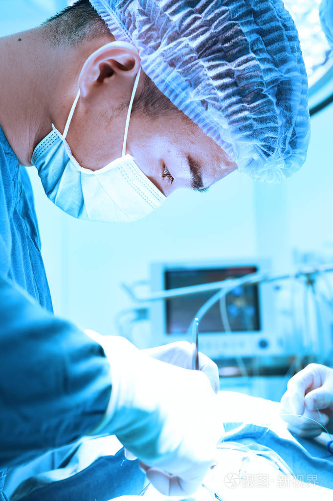 兽医外科医生在手术室