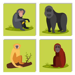 猴字动物不同面包野生动物园猿黑猩猩向量例证
